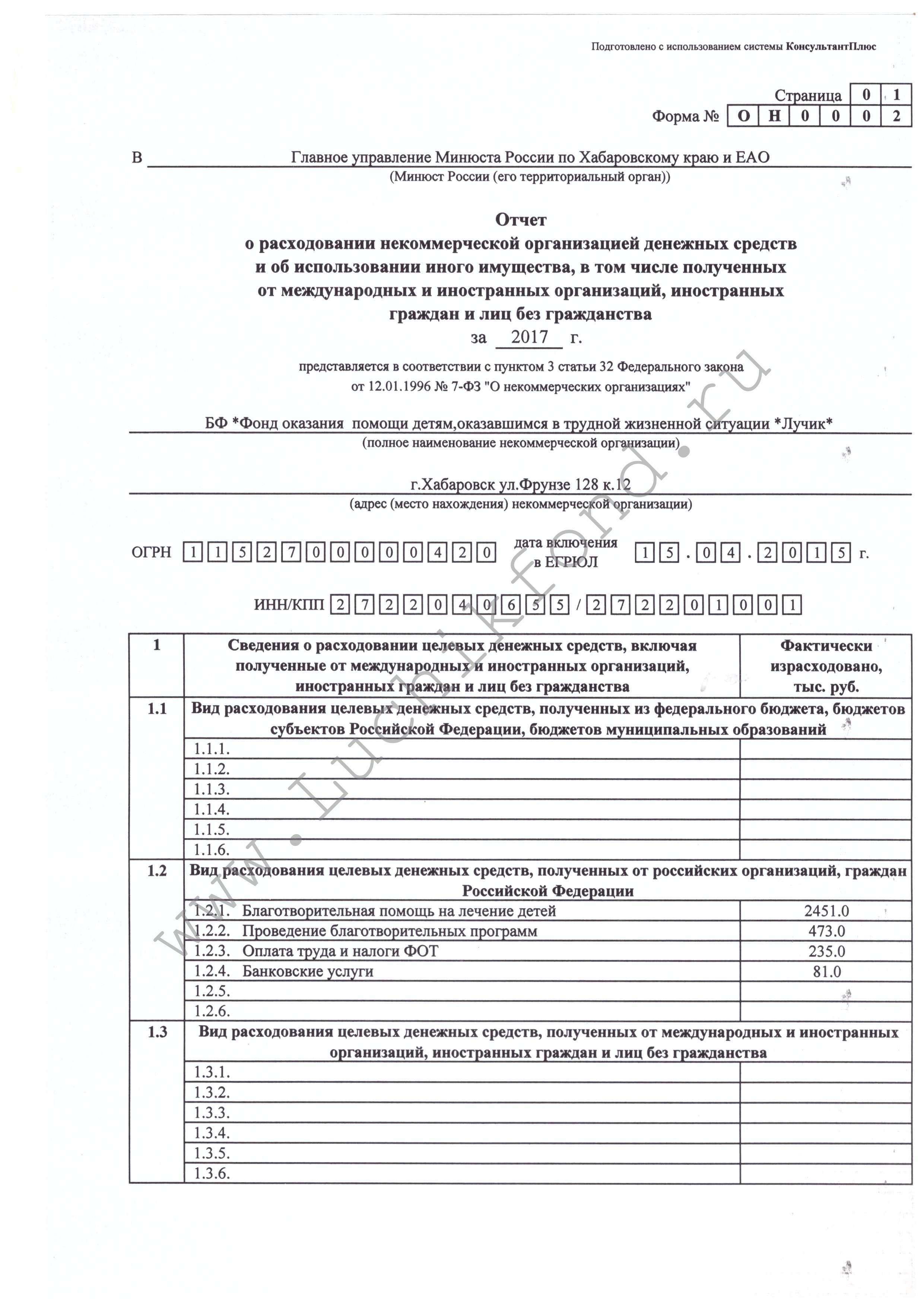 Годовой отчет некоммерческой организации образец